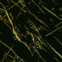 Screenshot 2025-11-10 151442 بديل رخام أسود بعروق ذهبية فاخرة